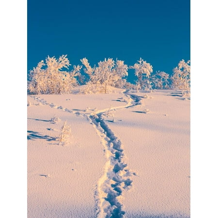Cold Winter in Lapland Sweden with Temperatures -47 Celsius Print Wall Art By Green Light Collection