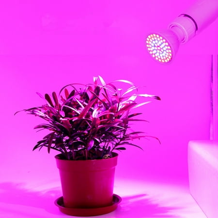 MyBeauty Full Spectrum E27 220V LED Indoor Garden Plant Flower Growth Light Bulb Lamp
MyBeauty Full Spectrum E27 220V LED Indoor Garden Plant Flower Growth Light Bulb Lamp