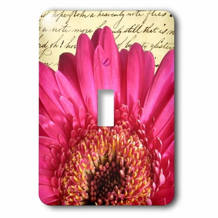 3dRose Hot Pink Gerbera flower closeup - girly macro floral photography - romantic handwriting background, Single Toggle Switch