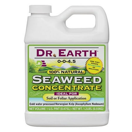 Natural Seaweed Concentrate Great for plant development crop yields - 16 oz