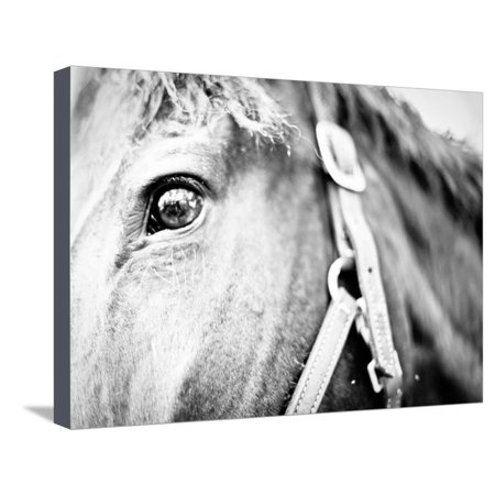 Horseback Riding I Stretched Canvas Print Wall Art By Susan Bryant