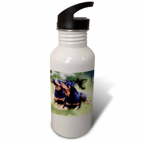 3dRose Rottweiler Sports Water Bottle 21oz