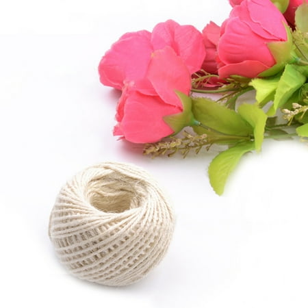WEPRO Decoration Rope Rope Braided Jute 50m DIY Clothing Vintage Photo Wall Rope Tag Home DIY
WEPRO Decoration Rope Rope Braided Jute 50m DIY Clothing Vintage Photo Wall Rope Tag Home DIY