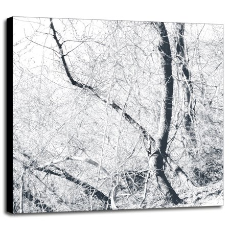 Bluetone Woods-HARTRE78968 Print 20"x20" by Harold Silverman - Trees & Old Fences in a Canvas Stretched on 3/4" Bars