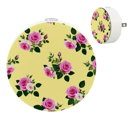 YZUOUZY Night Lights Plug into Wall Nightlight Small Lamps Set of 2 Floral Wonderful Roses Vector
YZUOUZY Night Lights Plug into Wall Nightlight Small Lamps Set of 2 Floral Wonderful Roses Vector