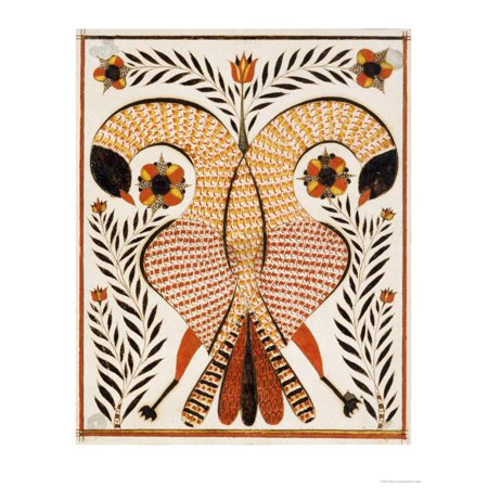Watercolor and Ink Decorated Drawing of Intertwined Parrots Print Wall Art By Rudolph Landes
