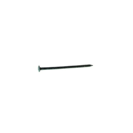 12PC Grip-Rite Grip-Rite 10HGBX1 Hot-Dipped Galvanized Box Nail Steel 1 lb