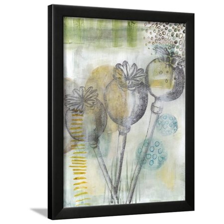 Seed Pod Composition II Framed Print Wall Art By Naomi McCavitt