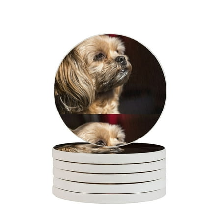 Circular Drink Coasters Set Puppy Dog Lhasa Beautiful Home Decor Diatomite Heat-Resistant Diatomite Protect Table Countertop
Circular Drink Coasters Set Puppy Dog Lhasa Beautiful Home Decor Diatomite Heat-Resistant Diatomite Protect Table Countertop