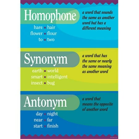 Barker Creek BC-1804 Homophone, Synonym & Antonym Grammar Poster