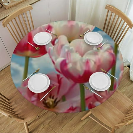 Flowers Tulips Round Fitted Tablecloth with Elastic Edge Round Table Cover Home Decorative Tablecloth
Flowers Tulips Round Fitted Tablecloth with Elastic Edge Round Table Cover Home Decorative Tablecloth