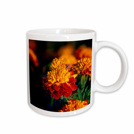 3dRose Beautiful red yellow marigold flowers in the evening light - Ceramic Mug 11-ounce
3dRose Beautiful red yellow marigold flowers in the evening light - Ceramic Mug 11-ounce
