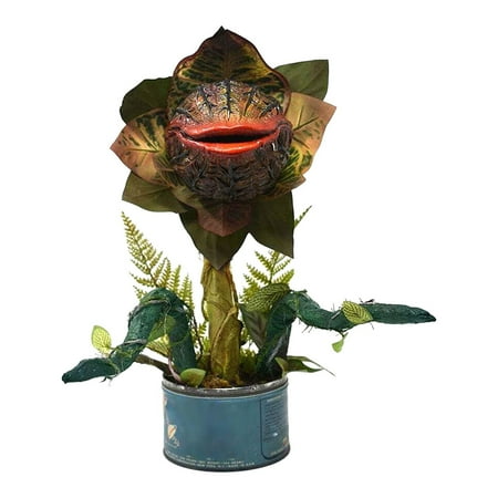 Crafts Flower Decoration Ornaments Garden Pot Decoration & Hangs Shelving Unit round Flower Pot Stand Small Flower for Indoor Ceramic Flower for Indoor Large
Crafts Flower Decoration Ornaments Garden Pot Decoration & Hangs Shelving Unit round Flower Pot Stand Small Flower for Indoor Ceramic Flower for Indoor Large