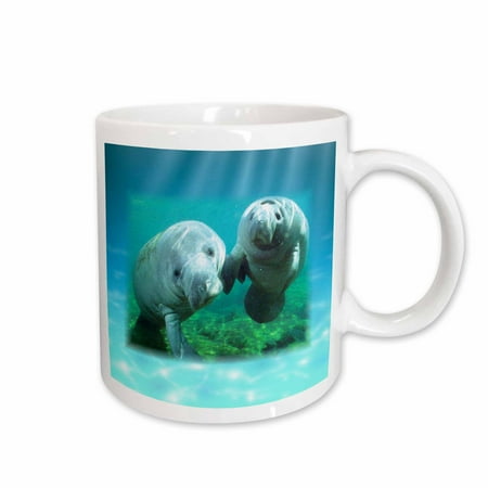3dRose 2 Manatees looking At You Ceramic Mug 11-ounce