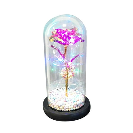 Tfalo Led Lights 1Pc Valentine s Day Gift Led Glow-In-The-Dark Glass Cover Rose Is A Unique Gift
Tfalo Led Lights 1Pc Valentine s Day Gift Led Glow-In-The-Dark Glass Cover Rose Is A Unique Gift