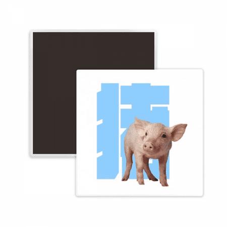 Pig Noun Display Instruction Square Ceracs Fridge Magnet Keepsake Memento