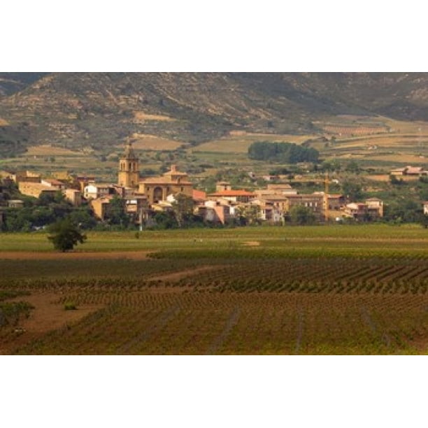 Village of Brinas surrounded by Vineyards La Rioja Region Spain Stretched Canvas - Janis Miglavs DanitaDelimont (35 x 23)