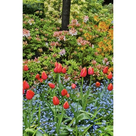 Springtime at Butchart Gardens, Victoria, British Columbia, Canada Poster Print by Darrell Gulin