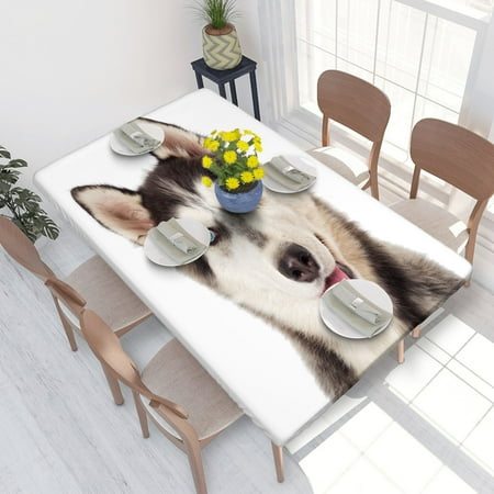 Elastic Edge Fitted Tablecloth Portrait Dogs for Rectangle Table 4 FT 30 X 48 Inch
Elastic Edge Fitted Tablecloth Portrait Dogs for Rectangle Table 4 FT 30 X 48 Inch
