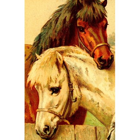 Horse Tales 1924 Snowy & Bob Stretched Canvas - Unknown (18 x 24)