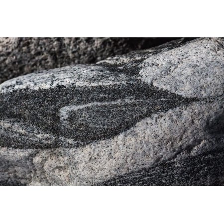 Hornblende granite rocks, California Poster Print by Zandria Muench Beraldo