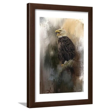 Winter Eagle 3 Framed Print Wall Art By Jai Johnson