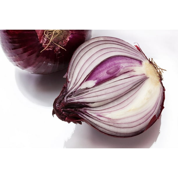 canvas print allium cepa red onion onion sliced stretched canvas 10 x 14