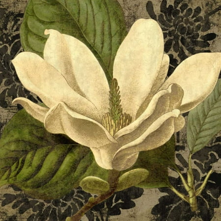 Southern Charm 1 Poster Print by Suzanne Nicoll