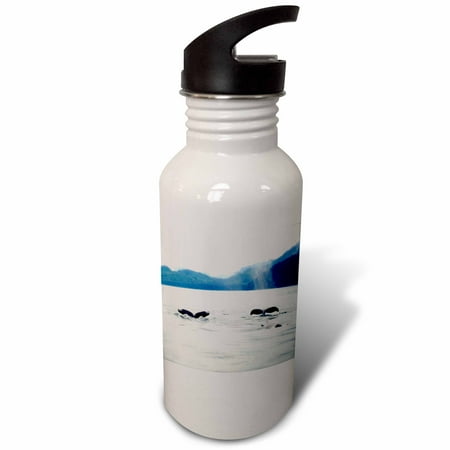 3dRose Whale Tails In Alaska Sports Water Bottle 21oz