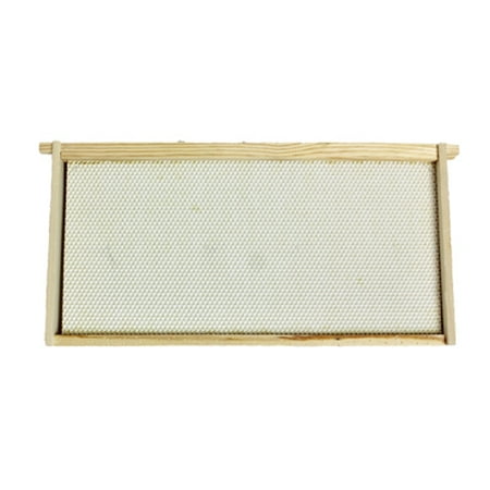 Harvest Lane Honey 5 Pack Deep Or Large Beehive Wooden Frame Assembled With Plastic Be
Harvest Lane Honey 5 Pack Deep Or Large Beehive Wooden Frame Assembled With Plastic Be