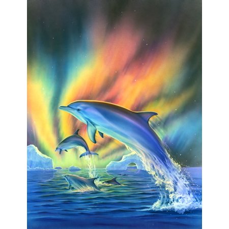Cosmic Dolphins Variant 1 Stretched Canvas - Robin Koni (12 x 6)