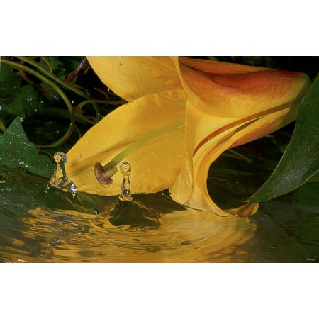 GS36_2211 HDRT-GORSEM121127 Print 13.75"x21" by Gordon Semmens in a Un (Canvas Only)