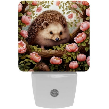 Hedgehog LED Square Night Lights for Bedroom and Living Room Decorative Mood Lighting with Remote Control – Energy Efficient & Versatile Illumination
Hedgehog LED Square Night Lights for Bedroom and Living Room Decorative Mood Lighting with Remote Control – Energy Efficient & Versatile Illumination