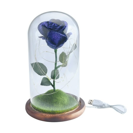 Tools Romantic Immortal Flower Micro Landscape Rose Simulation Glass Shade Led Llight
Tools Romantic Immortal Flower Micro Landscape Rose Simulation Glass Shade Led Llight