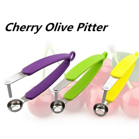QWY Cherry Olive Pits Pitter Stone Remover Machine Container Kitchen Tool
QWY Cherry Olive Pits Pitter Stone Remover Machine Container Kitchen Tool