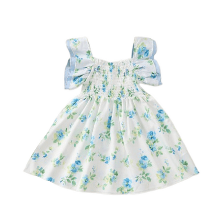 

Mikrdoo Baby Girls Dress 2 Years Toddler Girls Floral Print 3 Years Baby Girls Ruffle Sleeve Dress One Piece Nice Apparel Dress Blue