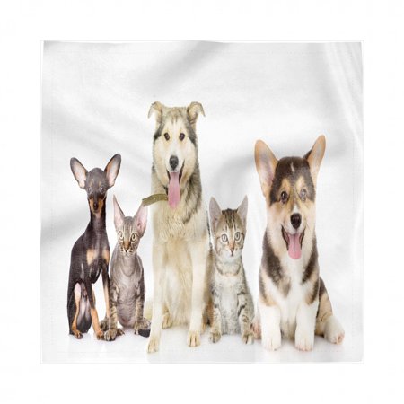 Corgi Napkins Set of 4, Group of Pets Cats and Dogs 4 Legged Friends Photo, Silky Satin Fabric for Brunch Dinner Buffet Party, by Ambesonne