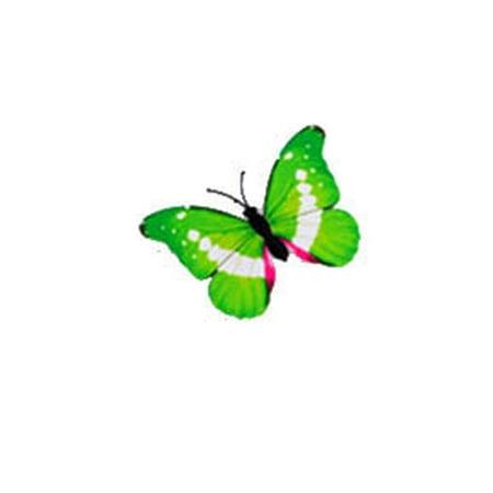 Colorful Chic 3D Butterfly LED Night Light Self-sticking Flash Lamp Home Bedroom Decor
Colorful Chic 3D Butterfly LED Night Light Self-sticking Flash Lamp Home Bedroom Decor