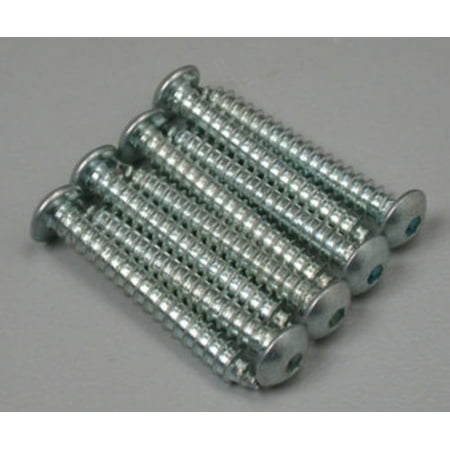 Button Head Sheet Metal Screws 6x1 (8)