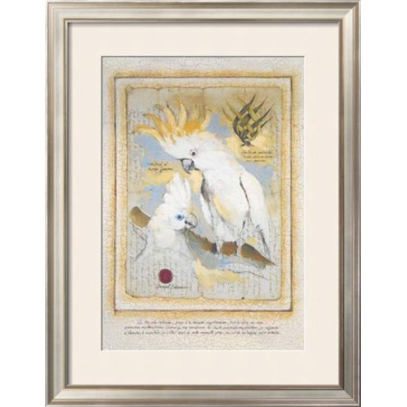 Fanako le Cacatoes Framed Art Print Wall Art By Pascal Cessou - 27.5x35.5