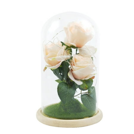 ociviesr home Office organization Romantic Immortal Flower Micro Landscape Rose Simulation Glass Shade Led Llight Home Kitchen White class
ociviesr home Office organization Romantic Immortal Flower Micro Landscape Rose Simulation Glass Shade Led Llight Home Kitchen White class