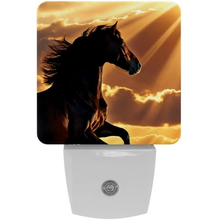 LED Night Light Lamp with Smart Sensor Dusk to Dawn Sensor 2-Pack for Bedroom Bathroom Hallway White 0.5W Plug-in Black Horse
LED Night Light Lamp with Smart Sensor Dusk to Dawn Sensor 2-Pack for Bedroom Bathroom Hallway White 0.5W Plug-in Black Horse