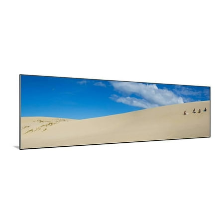 Girls getting ready to slide down the Te Paki Sand Dunes, Cape Reinga, Northland Region, North I... Wood Mounted Print Wall Art