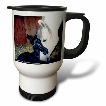 Andalusian Mare and Foal 14oz Stainless Steel Travel Mug tm-1263-1