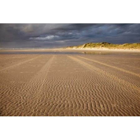 Sand Ripples Beach Tasmania Australia Stretched Canvas - David Wall DanitaDelimont (36 x 24)