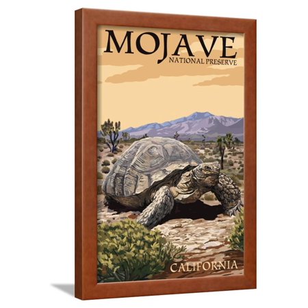 Tortoise - Mojave National Preserve, California Framed Print Wall Art By Lantern Press