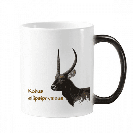 Herbivorous Antelope Africa Mug Changing Color Cup Morphing Heat Sensitive 12oz
Herbivorous Antelope Africa Mug Changing Color Cup Morphing Heat Sensitive 12oz