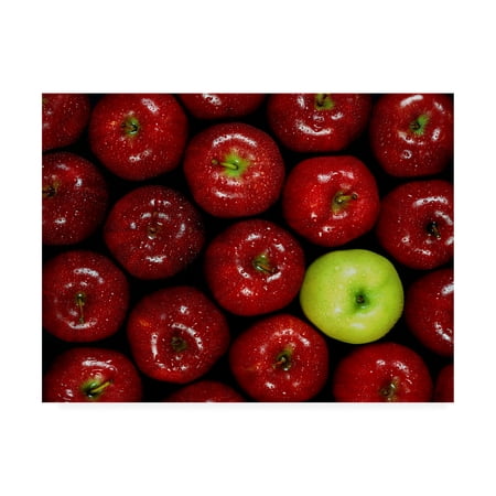 Trademark Fine Art 'Apples Single' Canvas Art by Monte Nagler