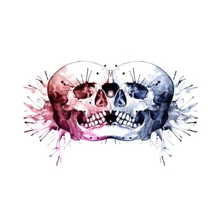 Conjoined Skull Print Wall Art By Sam Nagel