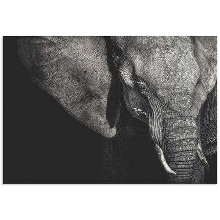 Metal Art Studio The Matriarch Elephant Wall Art